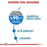 Light Weight Kedi Maması 1.5 kg
