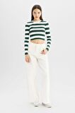 DeFacto Coool Slim Fit Çizgili Bisiklet Yaka Kazak X6888AZ24WNGN311