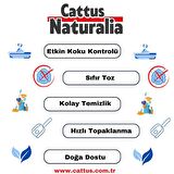 Ceviz Kabuğundan Yapılmış Doğal Kedi Kumu; Aktif Karbonlu, %100 Organik