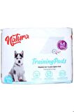 Köpek Pedi (TUVALET EĞİTİM PEDİ) 60x90 Cm 30lu Yapışkanlı Çiş Pedi