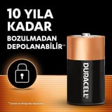 BASIC Alkalin D Pil (2’li Paket)