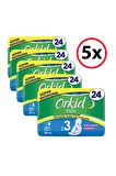Orkid Maxi 4'lü Gece 24 Adet X 5 Adet