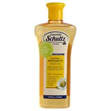 Schultz Tüm Saçlar İçin Canlandırıcı Şampuan 250 ml