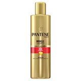 Pantene Miracle Şampuan Renk Koruma Keratin Koruyuculu 250 ml, Kuru, Mat ve Boyalı Saçlar İçin