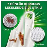 Arıel Hdl,Oxi,25,Regular