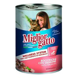Kedi Konserve Somon Balıklı 405 Gr