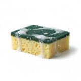 Technow Softtex Çift Taraflı  Çizmez  Ekonomik Mercan Bulaşık Sünger 4 Adet