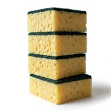 Technow Softtex Çift Taraflı  Çizmez  Ekonomik Mercan Bulaşık Sünger 4 Adet