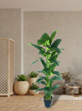 Yapay Ağaç Difenbahya Yeşil Salon Bitkisi Siyah Saksıda 180cm 