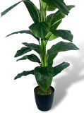 Yapay Ağaç Difenbahya Yeşil Salon Bitkisi Siyah Saksıda 180cm 