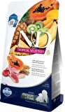N&D Tropical Kuzulu Orta ve Büyük Irk Yavru Köpek Maması 2 Kg