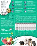 Exclusion Monoprotein Ton Balıklı ve Narlı Düşük Tahıllı Büyük Irk Yavru Köpek Maması 12kg