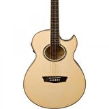 Washburn EA20 Elektro Akustik Gitar