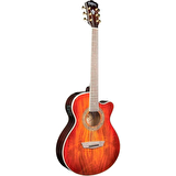 Washburn EA55G Festival Elektro Akustik Gitar