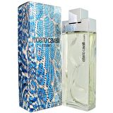 Roberto Cavalli Man Eau de Tuvalet 100 ml erkek parfümü