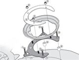 Givi BF09 Depoüstü Çanta Aparatı (DUCATI)