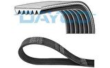 KANALLI KAYIS - DAYCO 6PK1655