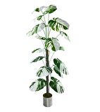 Yapay Ağaç Beyaz Monstera 18 Dallı Çalılı Gövde 120x60cm Gümüş Aleminyum Saksıda