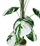 Yapay Ağaç Beyaz Monstera 18 Dallı Çalılı Gövde 120x60cm Gümüş Aleminyum Saksıda