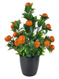Yapay Çiçek Mandalina Ağacı Siyah Saksıda Mandalina 30cm 