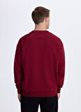 Bordo Erkek Regular Fit Desenli Sweatshirt 32232FW AUTHENTIC ALEC