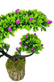 Yapay Çiçek Bonsai Ağacı Kütük Saksıda Lila Tomurcuklu Hilal Model Dekoratif Yapay Ağaç Bonzai 30*20 CM