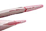 PROFISHER Yarık Karın Yeşil Silikon Sahte Yayın Avı Yem 28 cm 67 gr   
