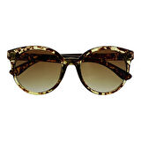 Zippo Zippo Sunglasses