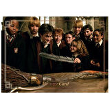 Panini Harry Potter A Year At Hogwarts Sticker - 5 Paket