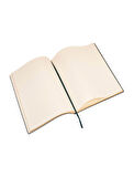 Pineider Defter Milano 19x25 cm Yeşil Gold CNL1S099108374