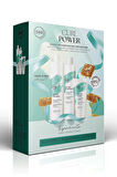 360 Hair Professional Be Curl Shp-Cond.250ml-Control Cream 150ml Set