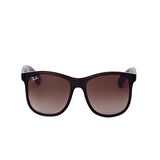 Ray-Ban RB4202 607313 55 Unisex Güneş Gözlüğü