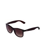 Ray-Ban RB4202 607313 55 Unisex Güneş Gözlüğü