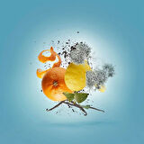 Xerjoff Erba Pura EDP 50 ml Unisex Parfüm