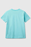 Baskılı % 100 Pamuk Regular Fit Bisiklet Yaka T Shirt Erkek Çocuk T SHİRT