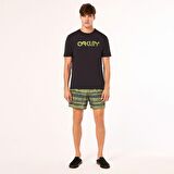 Oakley BLUR STRIPES RC 16" BEACHSHORT Erkek Şort  OAK.FOA405398-OAK.9ZN