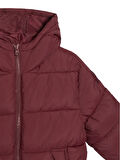 Erkek Çocuk Bordo Logo İşlemeli Kalın Mont