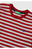 United Colors Of Benetton Erkek Gri Tişört (Model Kodu: 224A3I1Xg10Fc )