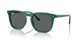 Ray-Ban 0RB 2210 6615/B1 53