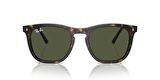 Ray-Ban 0RB 2210 902/31 53