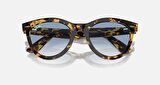 Ray-Ban 0RB 2241 1332/3F 54