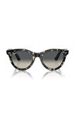 Unisex RAY-BAN Yuvarlak TAM ÇERÇEVE 51*21*150 Güneş Gözlüğü | 51
