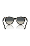 Unisex RAY-BAN Yuvarlak TAM ÇERÇEVE 51*21*150 Güneş Gözlüğü | 51