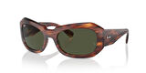 Ray-Ban 0RB 2212 954/31 56