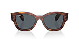 Ray-Ban 0RB 7681S 954/R5 52