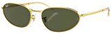 Ray-Ban RB3734 001/31 59 Polarize Unisex Güneş Gözlüğü