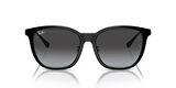Ray-Ban 0RB 4333D 601/8G 55