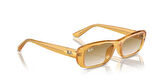 Ray-Ban 0RB 4436D 6682/13 55
