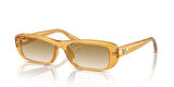 Ray-Ban 0RB 4436D 6682/13 55