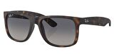 Ray-Ban RB4165 865/8S 55 Polarize Unisex Güneş Gözlüğü